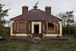Ugly Houses